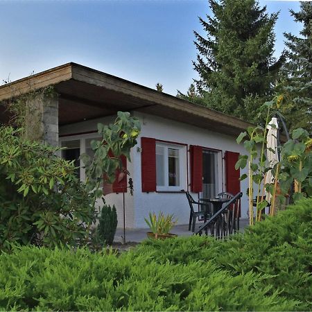 Cozy Holiday Home In G Ntersberge With Garden Güntersberge Eksteriør bilde